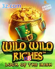 n8 slot wild wild riches